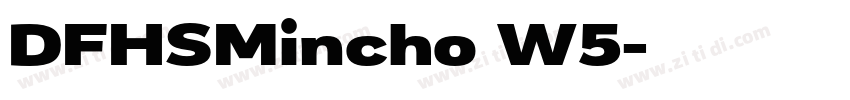 DFHSMincho W5字体转换